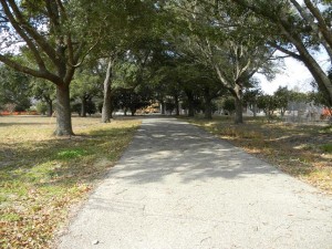 Gulfport MS - Oaks down Driveway