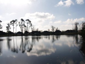 Robinwood Forest Lake