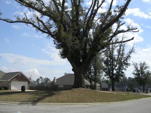 Hidden Oaks Gulfport MS Entry